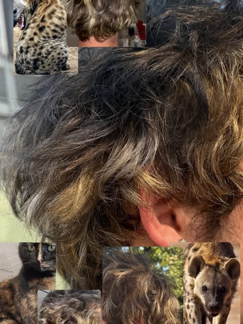 Hair by Abbey